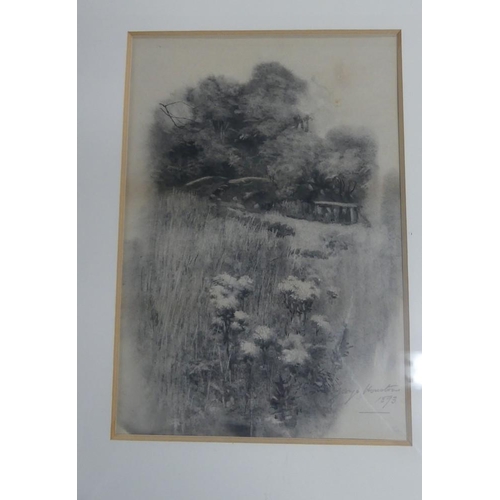 2155 - Framed Pencil & Ink by George Houston RSA RSW, Flowers by Wooded Path, dated 1893, approx 19 x 27cm.