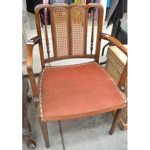 3248 - Bergiere Elbow Chair