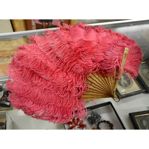 1102 - Box - Pink Ostrich Feather Fan, 2 Hair Slides, Tropical Bird Feather Headdress etc.