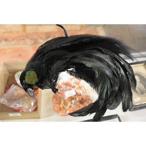 1102 - Box - Pink Ostrich Feather Fan, 2 Hair Slides, Tropical Bird Feather Headdress etc.