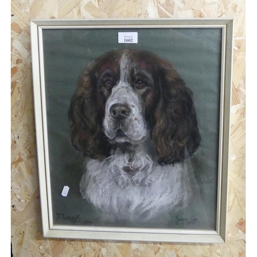 1602 - Framed pastel Drawing of a Spaniel 