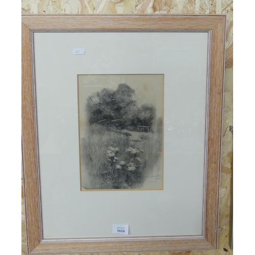 1610 - Framed Pencil & Ink by George Houston RSA RSW, Flowers by Wooded Path, dated 1893, approx 19 x 27cm.