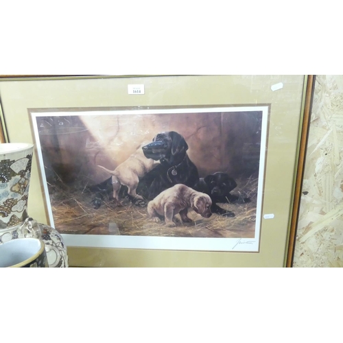 1614 - Framed Print - Labrador Puppies, approx 54 x 34cm.