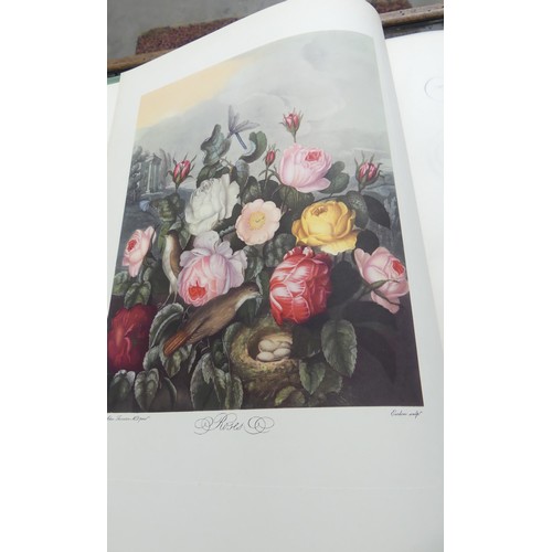 431 - Books - Twelve Months of Flowers & Temple of Flora