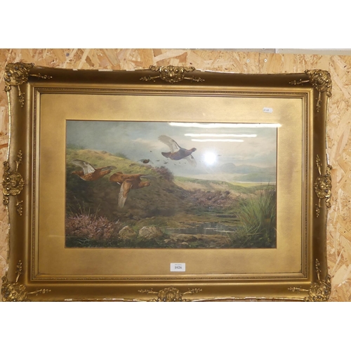 1026 - Framed Print - Grouse Moore, approx 54 x 33cm.