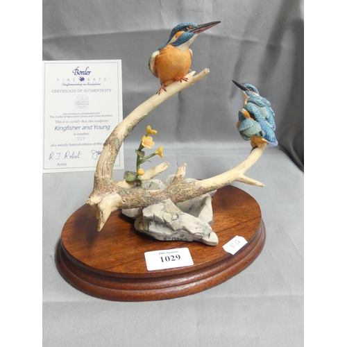 1029 - Border Fine Arts Ltd Edition Bird Group - Kingfisher & Young, 357/950 - R.J Roberts.