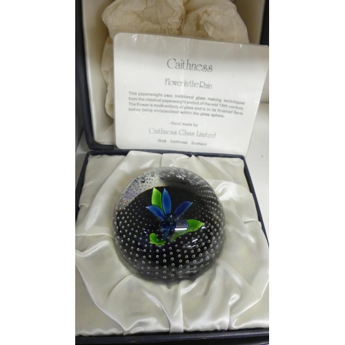 1031 - Caithness Glass Paperweight - 