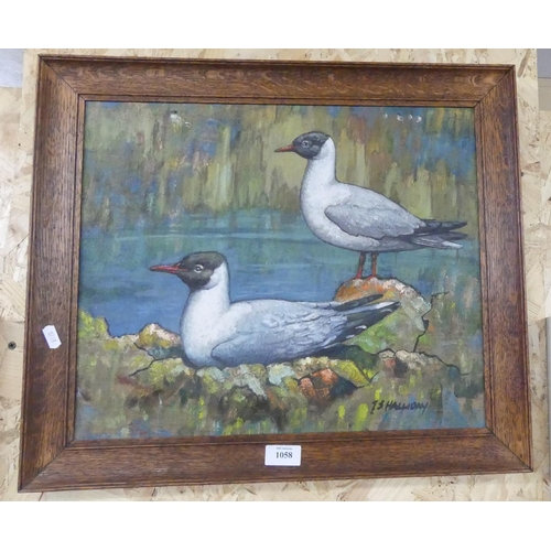 1058 - Framed Oil Painting - Black-Headed Gulls by J.S. Halliday, approx 44x  38cm.