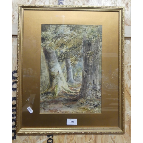 1085 - Framed Watercolour - Woodland Scene, Unsigned, approx 23 x 33cm.