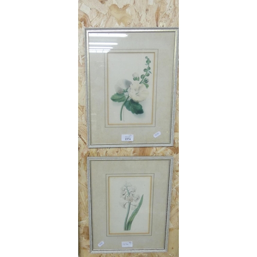 1574 - Pair of Framed Botanical Studies, approx 14 x 21cm.