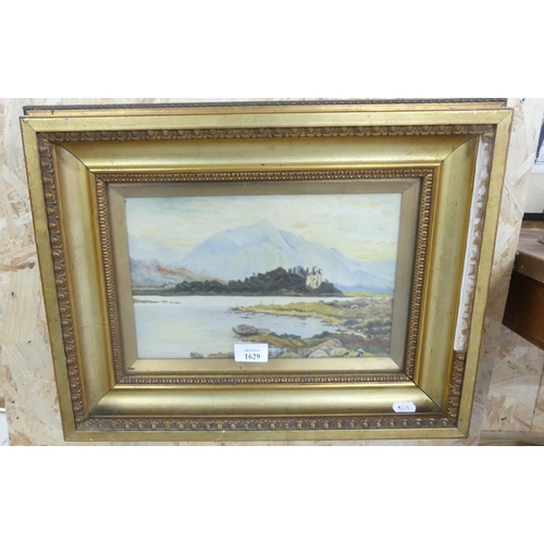 1629 - Framed Oil Painting - Highland Loch Scene with castle in Distance, 28 x 18cm.