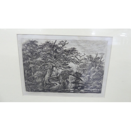 1630 - Framed Engraving - Dense Woodland, approx 26 x 18cm.