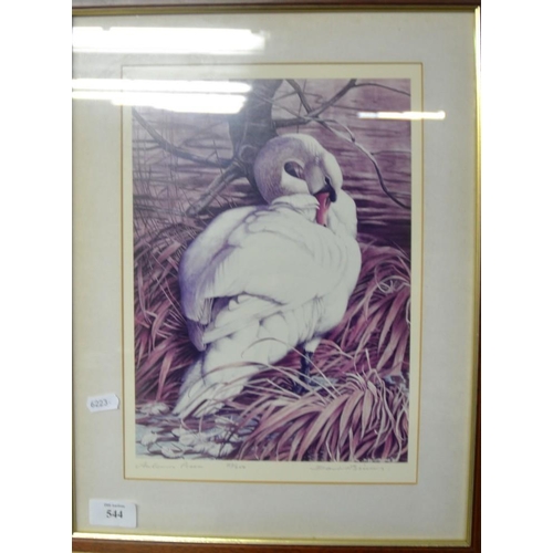 544 - Signed Print by David Binnes - 'Autumn Preen'