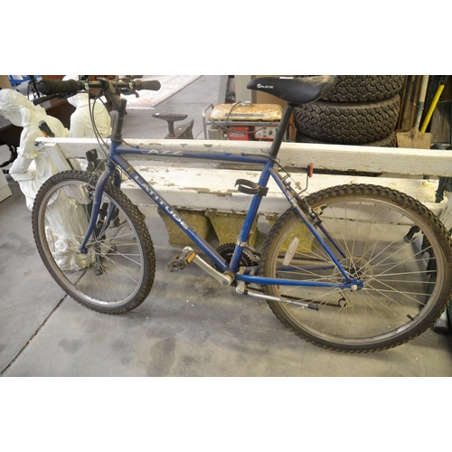 57 - Jazz Gents Mountain Bike