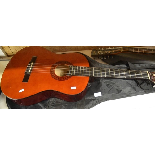 623 - Ridgewood Acoustic Guitar & Carry Case