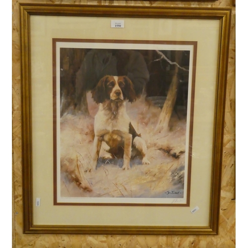 1550 - Framed Ltd Edition Print - Study of a Spaniel.