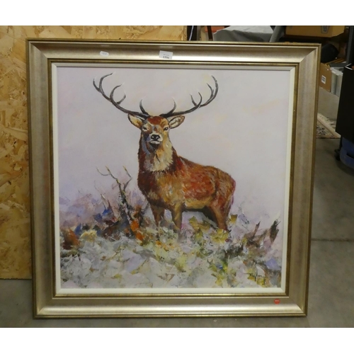 1556 - Large Framed Print - Deer Stag, approx 69 x 69cm.