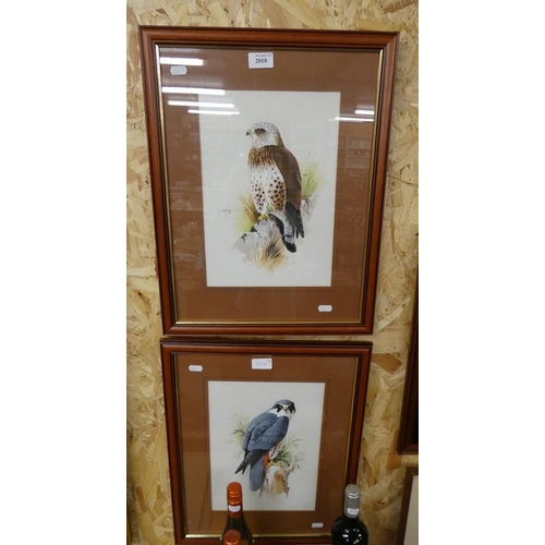 2010 - Pair of Framed Ornithological Studies Hobby & Buzzard