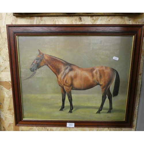 2012 - Framed Oil Painting - Study of a Horse, Signed Heidi, approx 50 x 40cm.