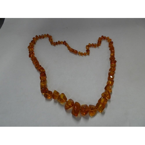 2486 - Amber Necklace