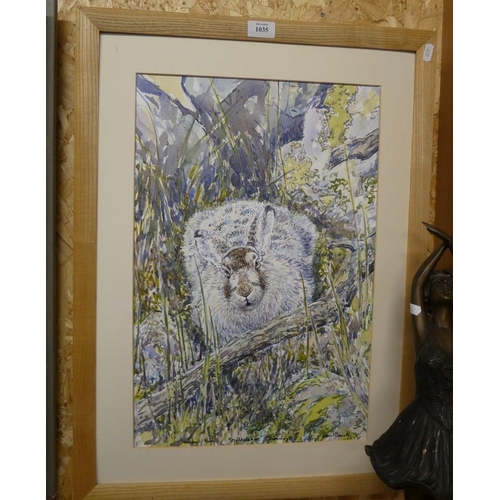 1035 - Framed Ink & Watercolour Entitled 