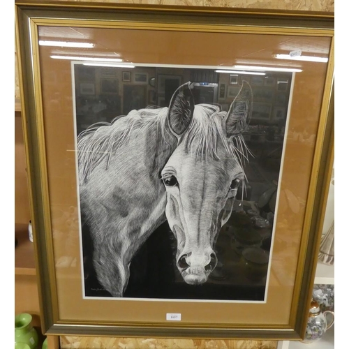 1057 - Framed Study of a Horse signed Pamela J Hardwick.