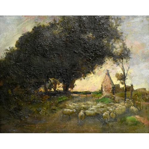 1015 - Framed Oil Painting - Rural Sunset with Sheep in Foreground, signed Kay, approx 49 x 39cm.