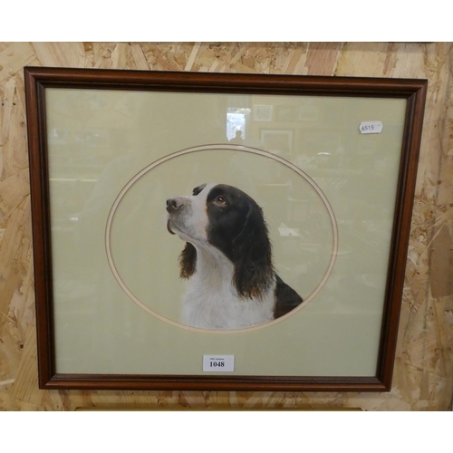 1048 - Framed Watercolour - Spaniel Called Ben, signed J. M. Ashburner, dated 58, approx 26 x 22cm.