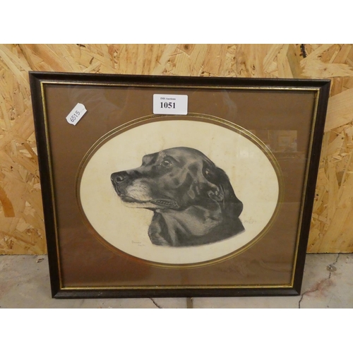 1051 - Framed Watercolour - Black Labrador 