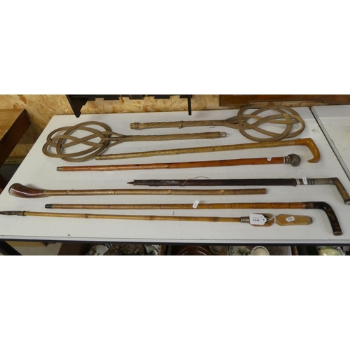 1646 - Assorted Walking Canes & Two Carpet Beaters.