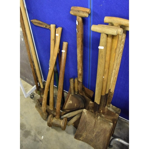 12 - Large Quantity of Garden Tools