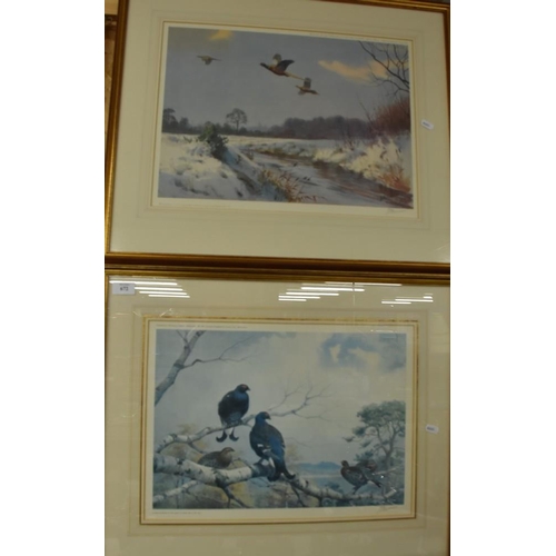 672 - 2 Gilt Framed Pictures of Game Birds - Signed by JC Harrison