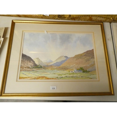 1620 - Framed Watercolour 