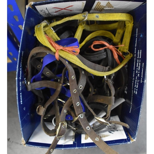 1200 - Box - Horse Tack