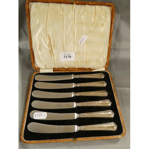 3170 - Cased Set of Six Sheffield Silver Mounted Afternoon Tea Knives.