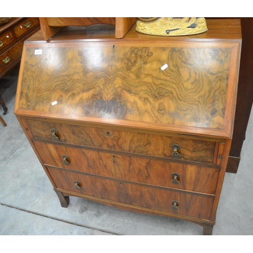 4197 - Walnut Writing Bureau