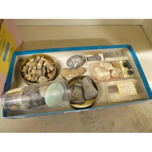 1098 - Tray Lot - Assorted Fossil Specimens.