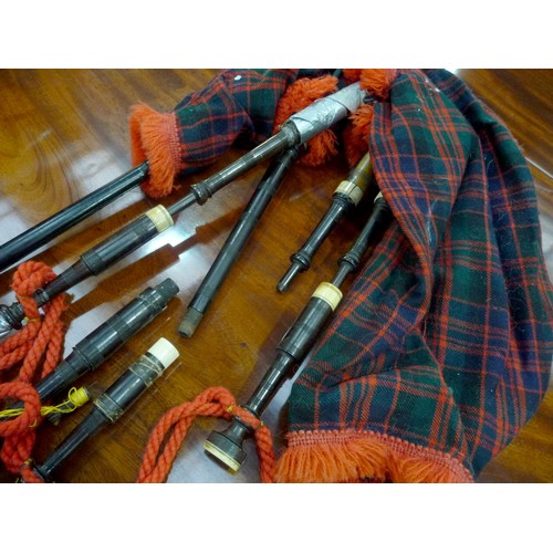 1598 - Childs Bagpipes in Case.