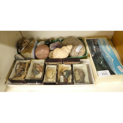 1111 - Assorted Rock Specimens & Seashells.