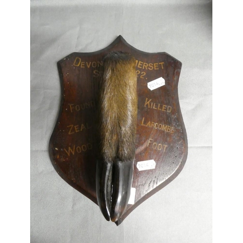 1602 - Taxidermy Deer Hoof on Shield Back dated 1922.