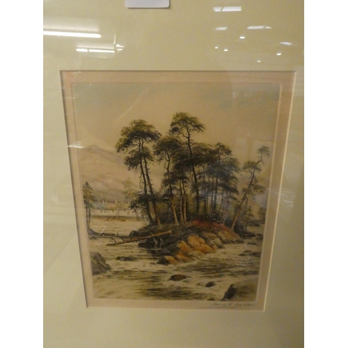 2088 - Framed Coloured Etching 