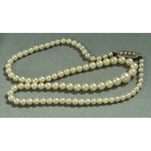 2585 - Cultured Pearl Necklace with Gold Pearl Clasp