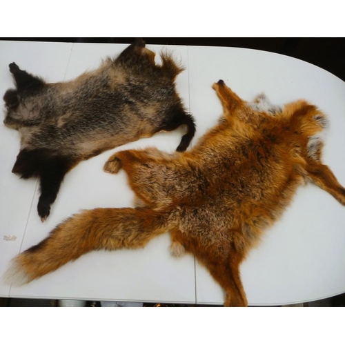 3586 - Fox Skin & Badger Skin