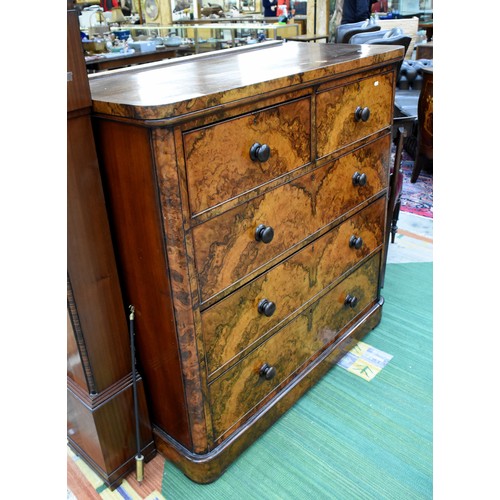 3246 - Victorian Burr Walnut 2 Over 3 Drawer Chest.