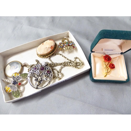 2411 - Collection of Jewellery, Cameo, etc