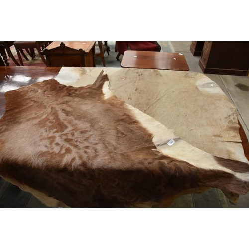 3051 - 2 Antelope Skin Rugs