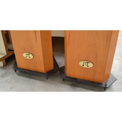 3245 - Pair of Floor Speakers