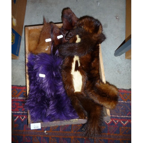 1259 - Box - Assorted Fur Stoles.