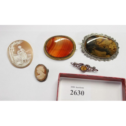 2630 - 3 Brooches/Cameo/Cameo Pen