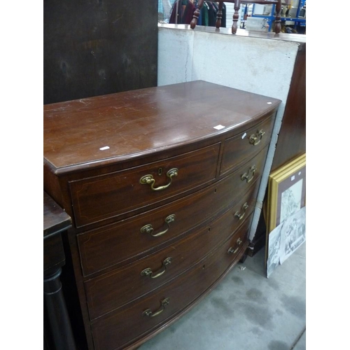 3390 - Victorian Mahogany Inlaid Bow Front 2 Over 3 Drawer Chest